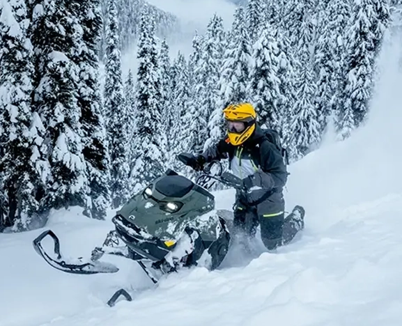 client reviews photo